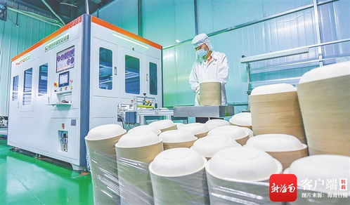變 看海口國家高新區(qū)云龍產(chǎn)業(yè)園甘蔗渣變成環(huán)保餐具