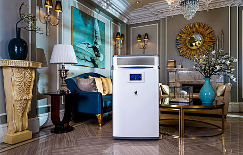 洛陽新雨環保科技批發價格 洛陽新雨環?？萍忌a廠家