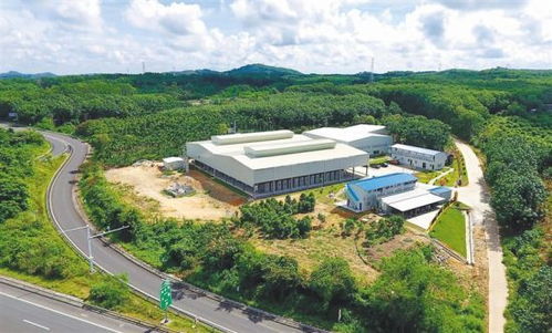 澄邁產業幫扶拔窮根 環?？萍间伨涂沙掷m發展之路